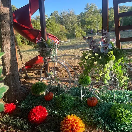 Kuca Sa Pogledom * سرمسكي كارلوفيتش